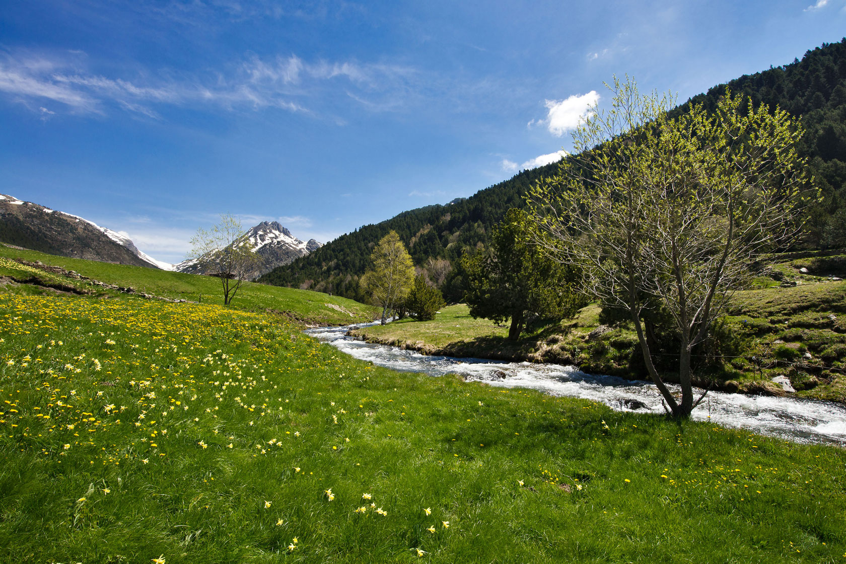 Camping Font de Ferrosins